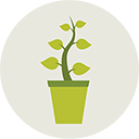 Icon of a plant